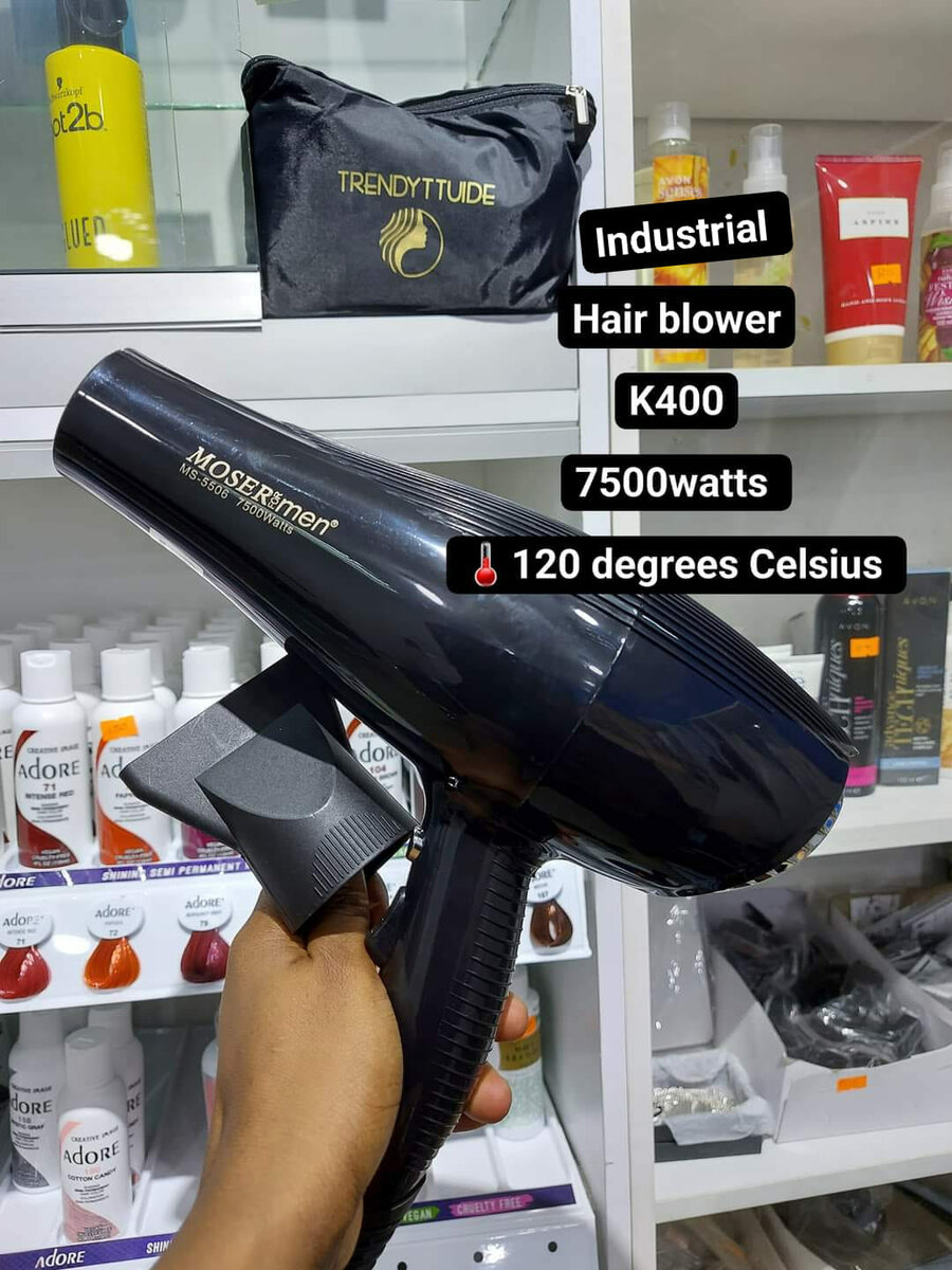 Hair blower