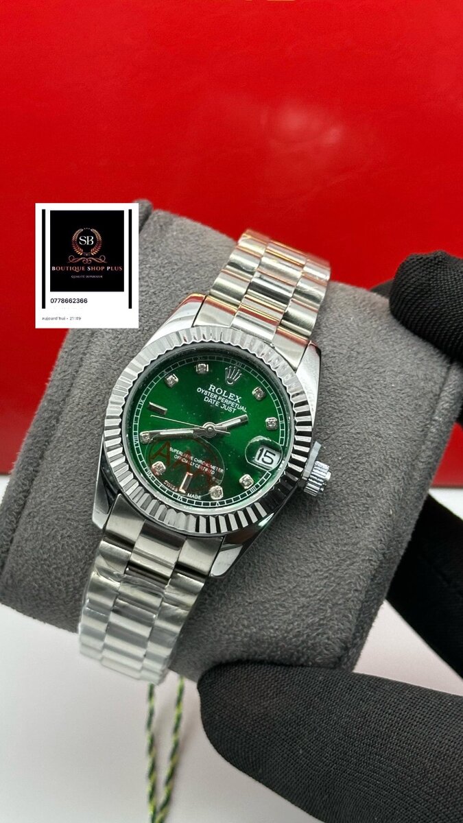 Montre de luxe en acier inoxydable