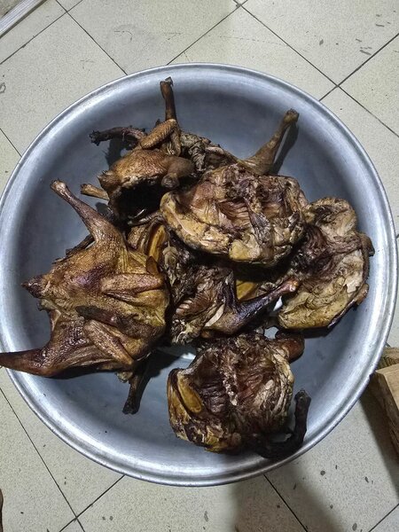 Poulet pondeuse séché et cru