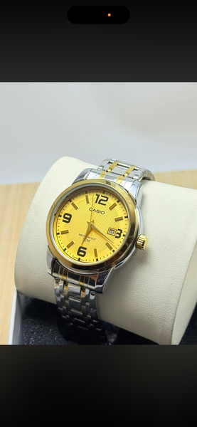 Montre Homme Élégante Casio