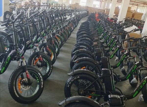 Vélos électriques tout-terrain