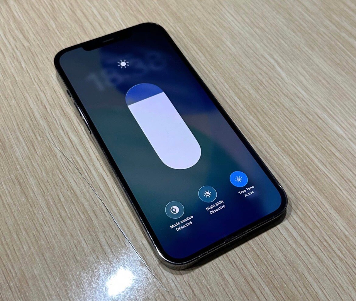 iPhone 12 Pro Max 256 Go Gris