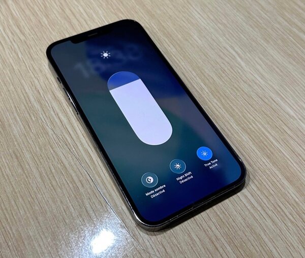 iPhone 12 Pro Max 256 Go Gris