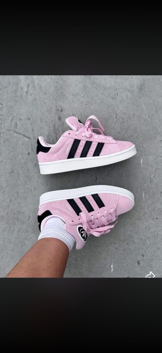 Campus adidas femme