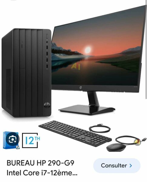 ORDINATEUR BUREAU HP 290 G9 