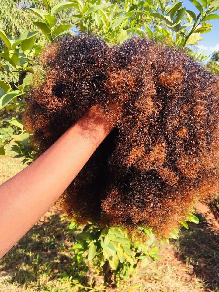 Afro wig