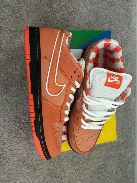 Nike SB Dunk Low Orange
