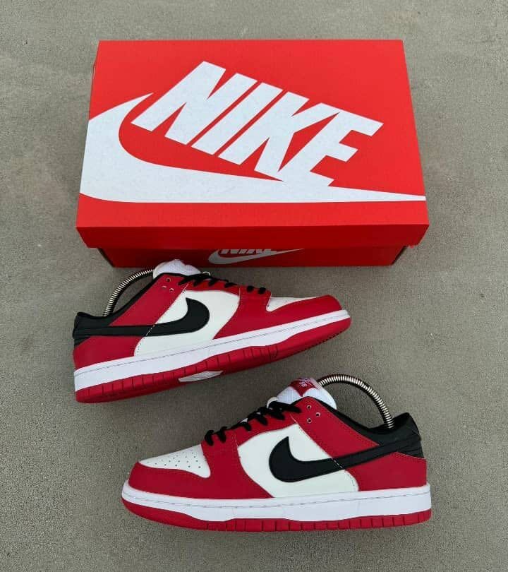 Chaussures Nike Dunk élégantes