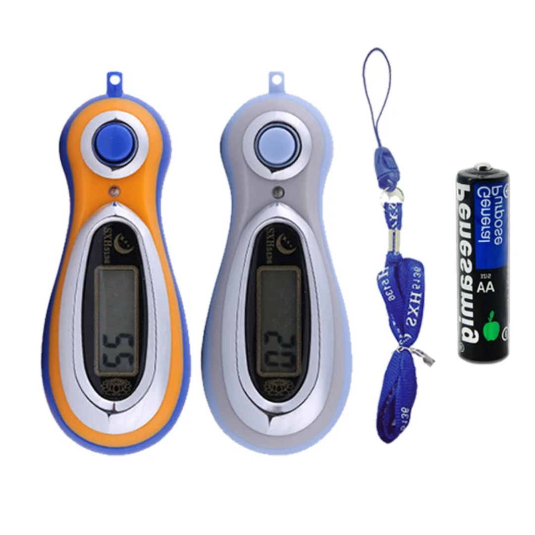 Numériseur LCD portable