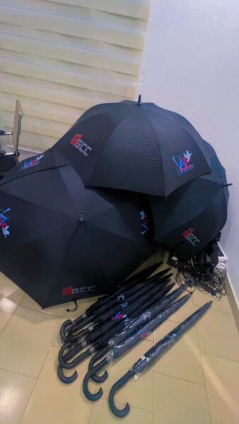 Parapluies élégants polyvalents