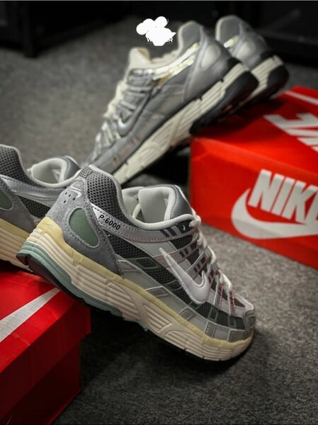 Nike p-6000