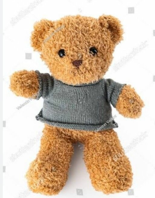 Teddy bear in brown colour