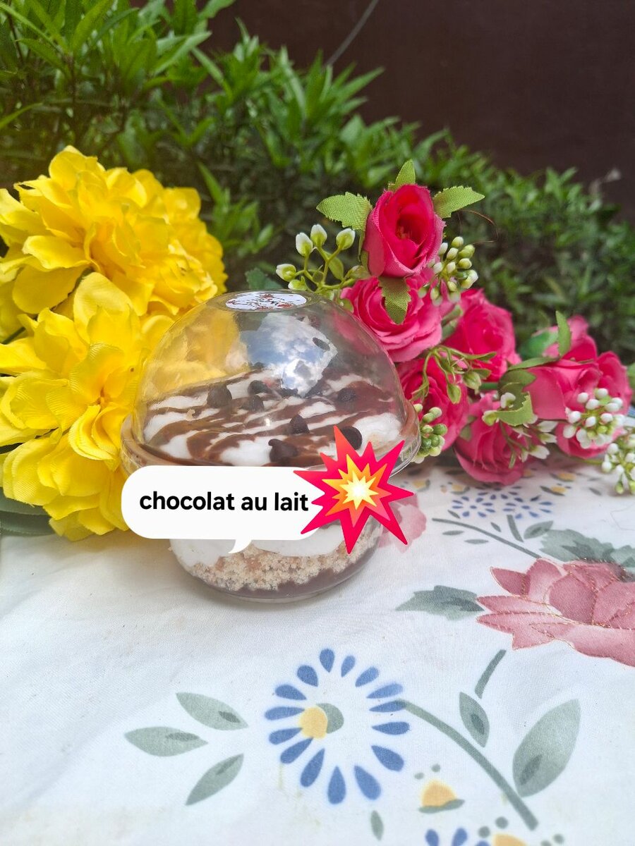 Délice Chocolat au Lait