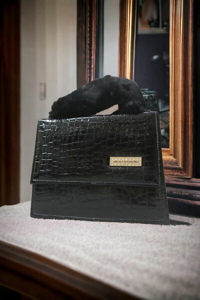 Ludies bags put leather