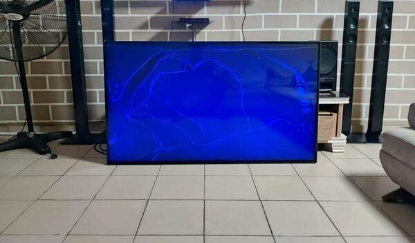 TV LG 65" avec écran FISSURÉ