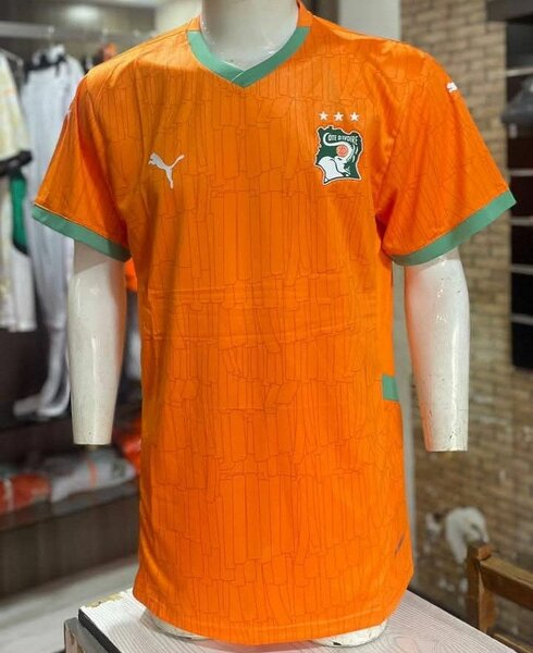 Maillot Côte d'Ivoire Puma