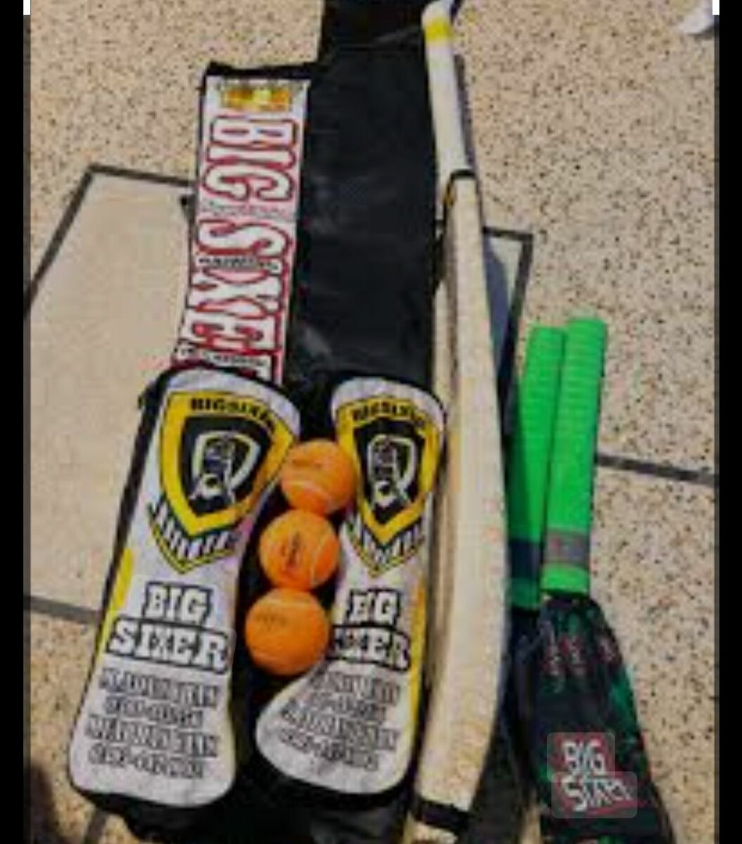 Cricket set