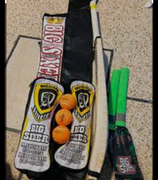 Cricket set