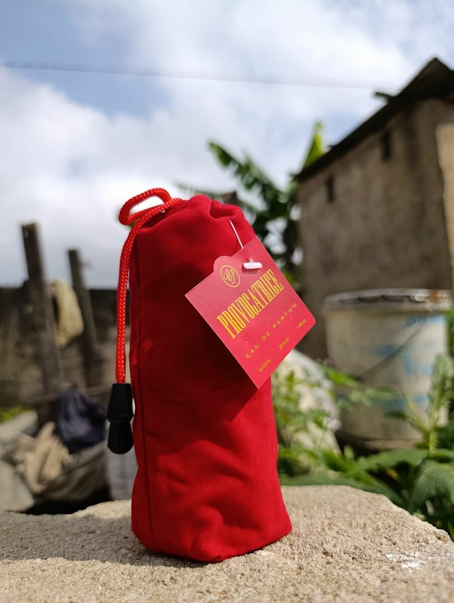 provocateurs/ provocatrices