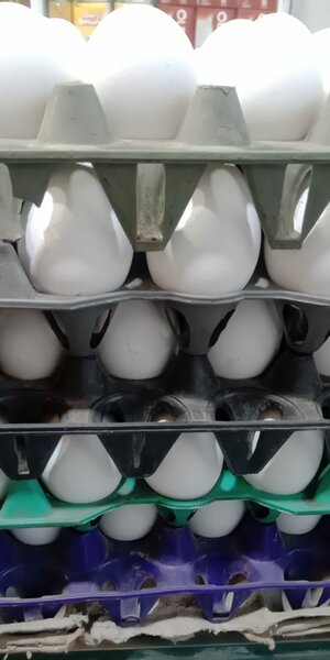 Eggs