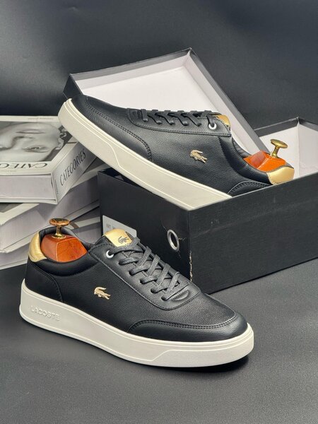 LACOSTE BLACK AND GOLD