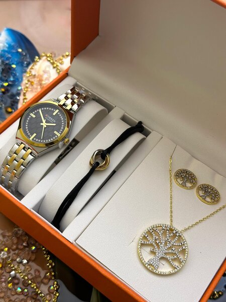 Ensemble montres et bijoux élégants