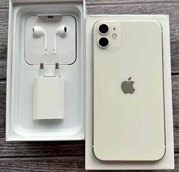 Apple iPhone 11 Blanc 64Go