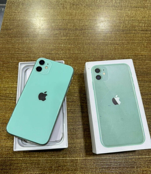 iPhone 11 Vert 64Go