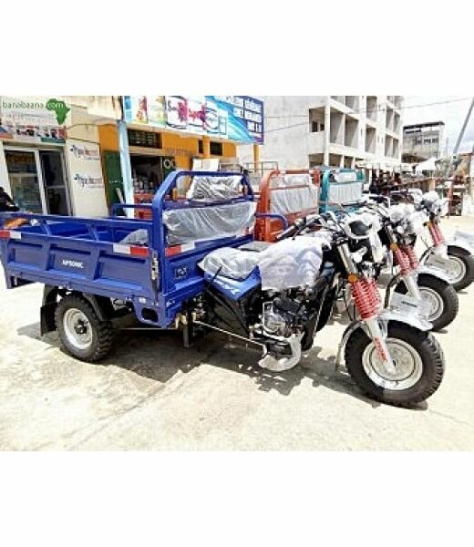 Moto Tricycle APSonic Cargo