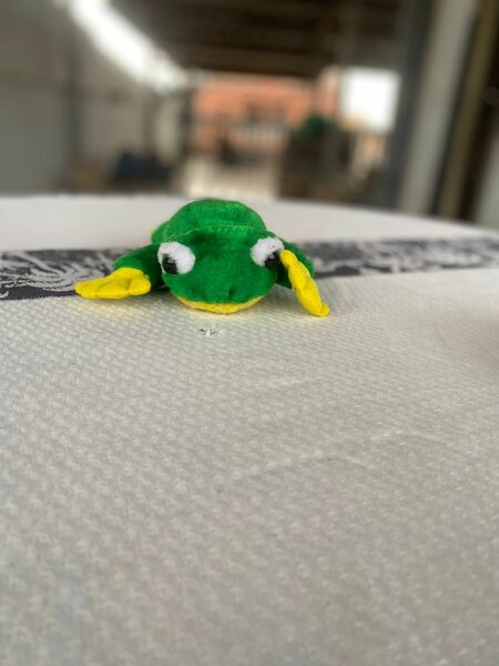 Peluche animal coloré