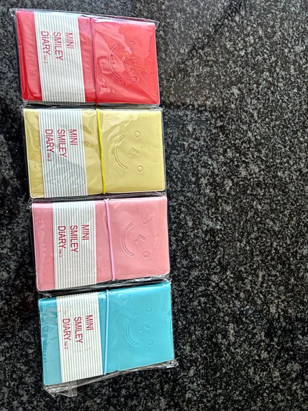 Cute mini diaries