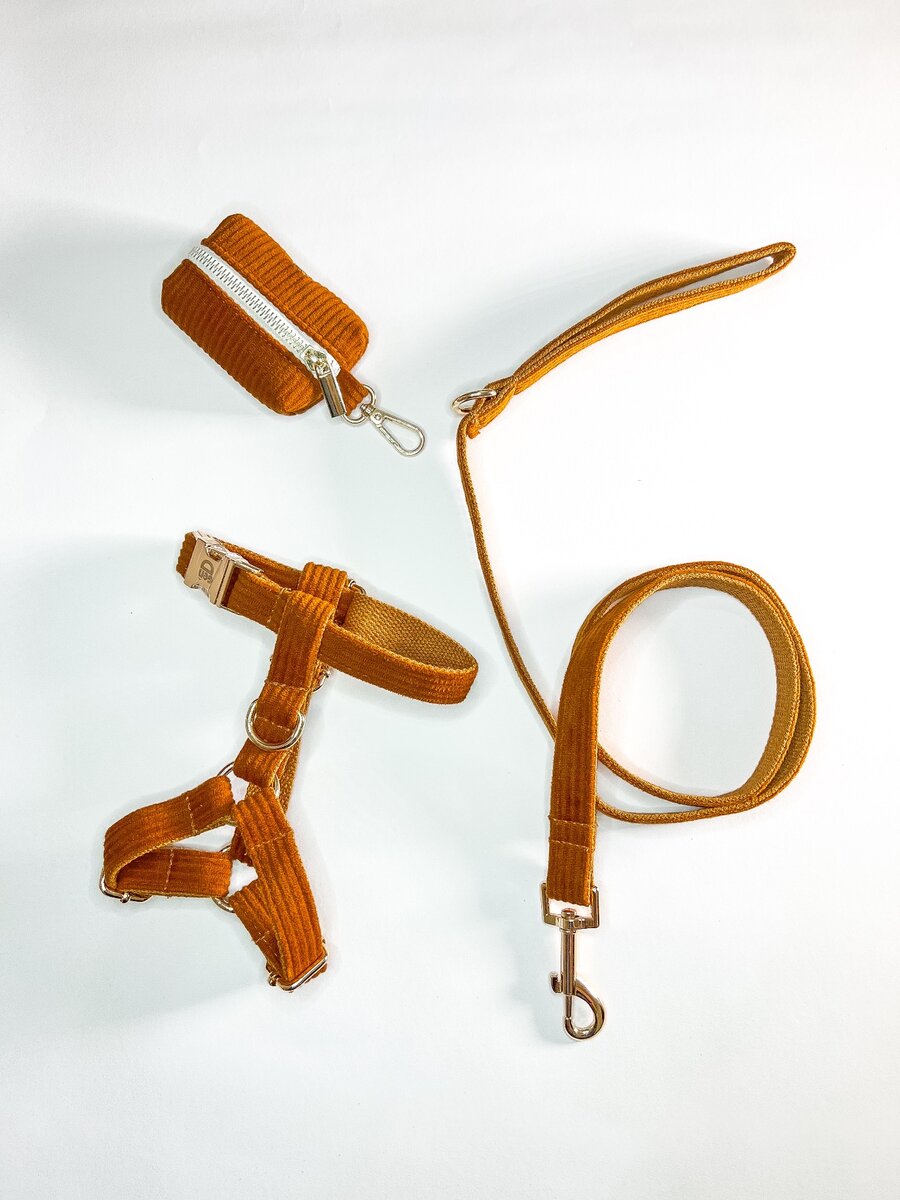 Harness Walk Set for dogs ( Rare Mocha)