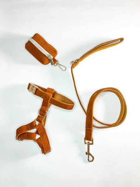 Harness Walk Set for dogs ( Rare Mocha)
