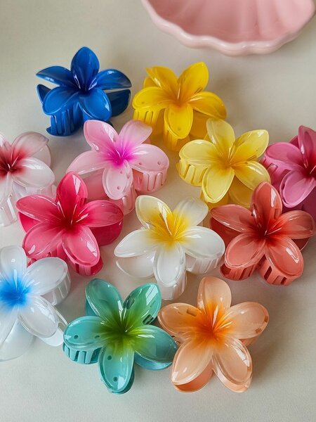 Clips à cheveux fleurs colorées