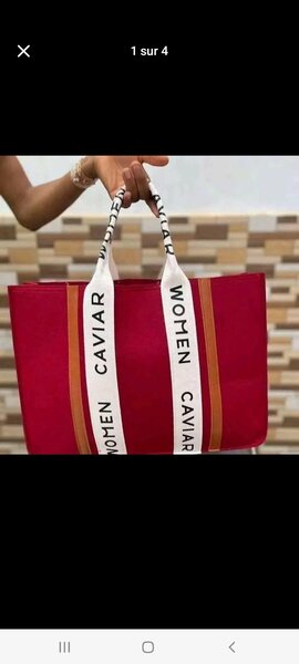 Sac fourre-tout élégant