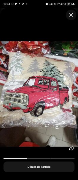 OREILLER NOEL 43 X 43 CM