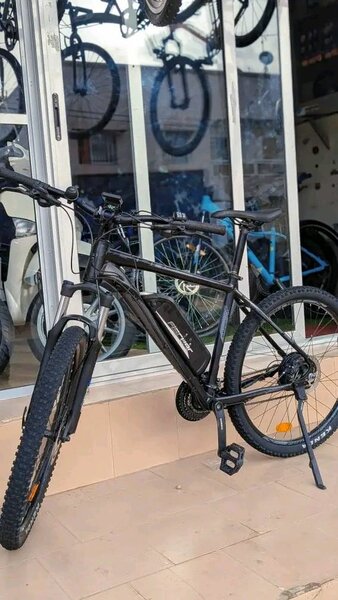 Vélo électrique tout-terrain