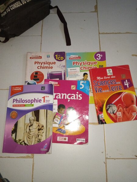 Lot de manuels scolaires divers