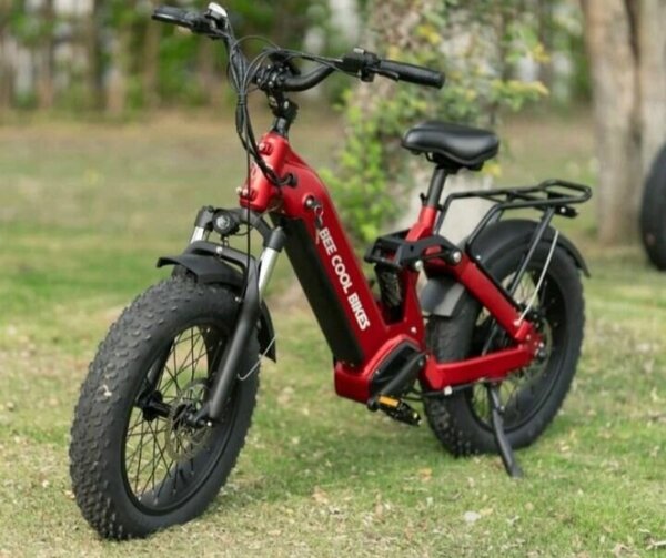 Vélo électrique tout-terrain puissant