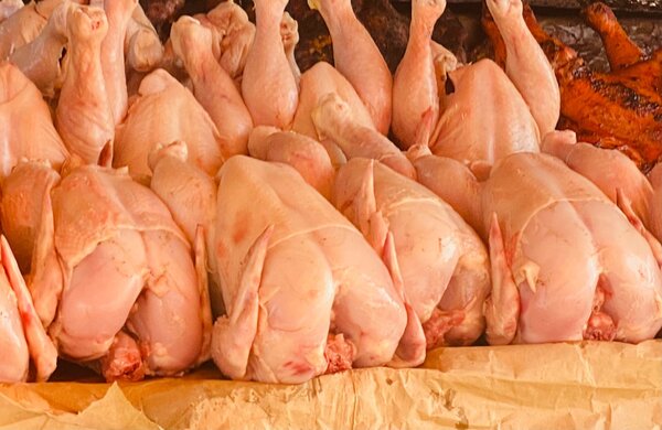 Poulet frais