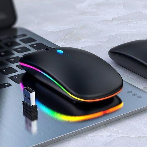 Souris sans fil