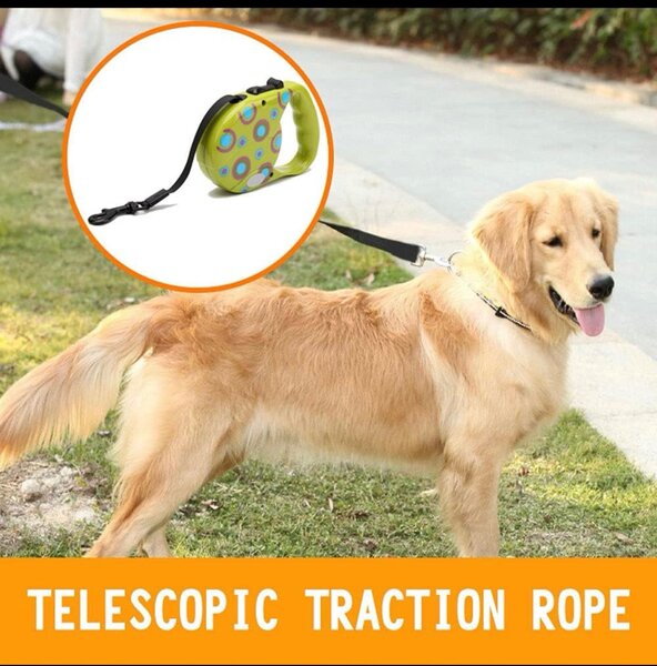 Laisse Rétractable Cordon De 5m Pour Animaux De Compagnie, E