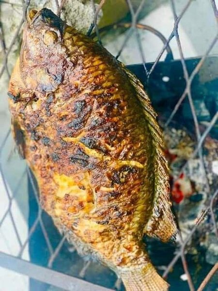 Tilapia grillée délicieuse