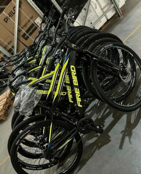 Vélo électrique Fire Bird noir