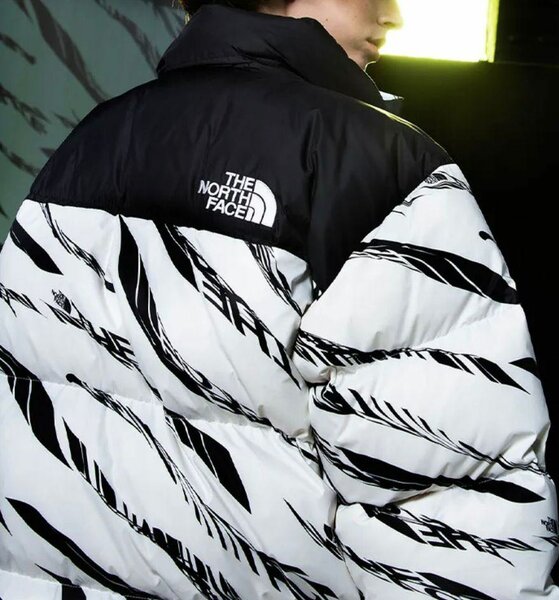 Parka/Doudoune The North Face