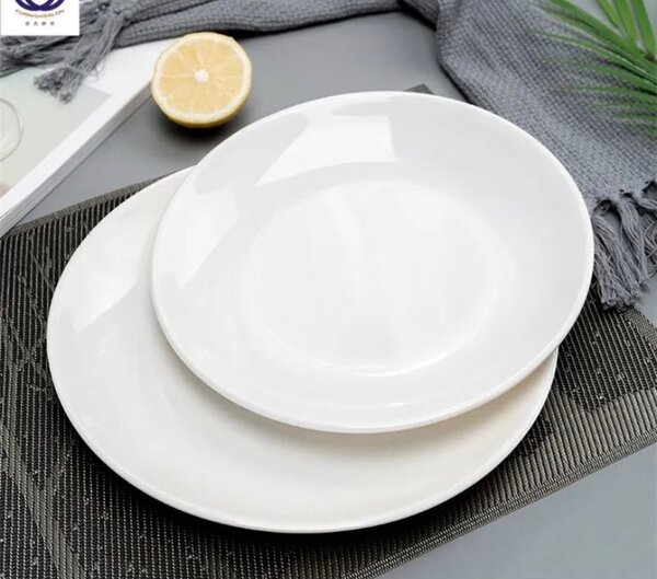 Assiettes en porcelaine durable