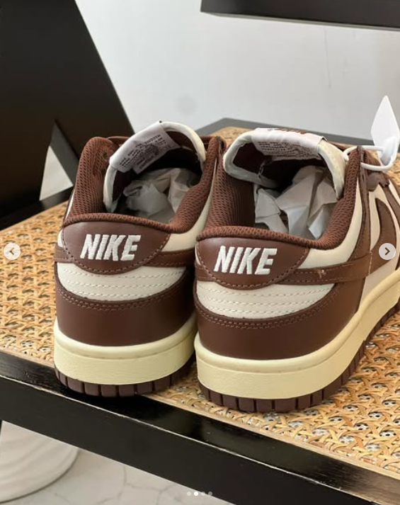Кроссовки Nike SB Dunk chocolate 