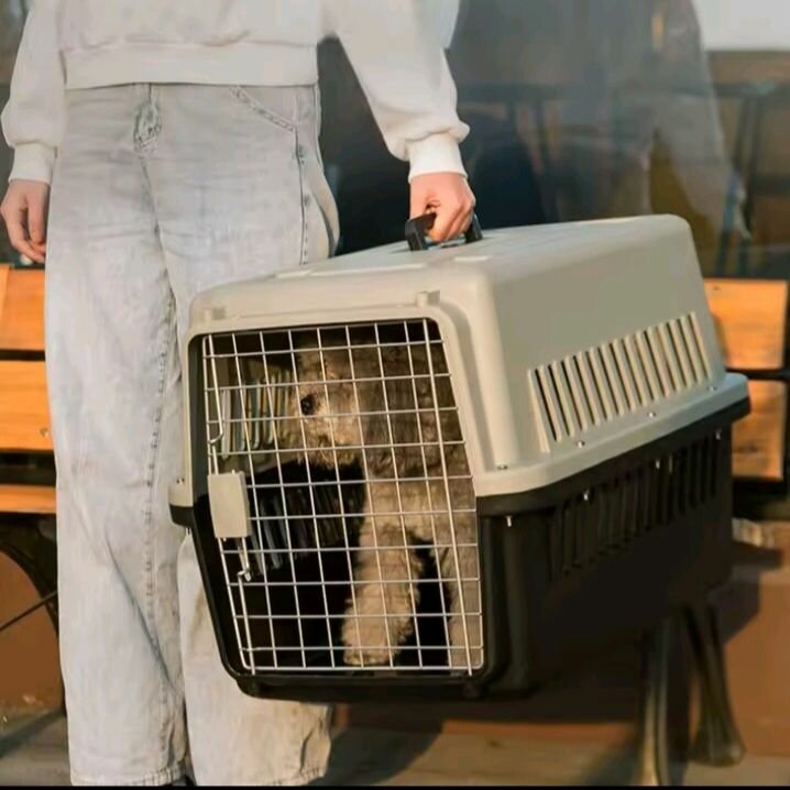 Transporteur pour animaux sécurisé
