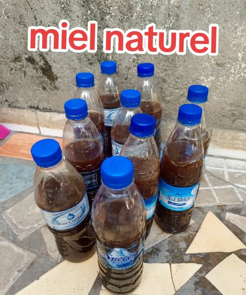 Miel Naturel Pur Bio
