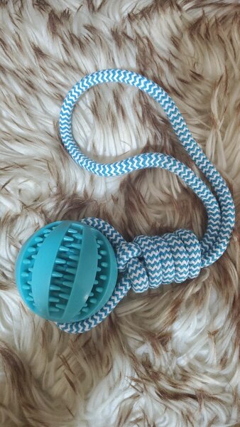 Jouet de mordillage pour chiens